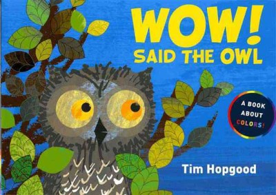 Wow! said the owl / Tim Hopgood.