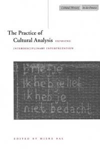 The practice of cultural analysis : exposing interdisciplinary interpretation / edited by Mieke Bal with the assistance of Bryan Gonzales.