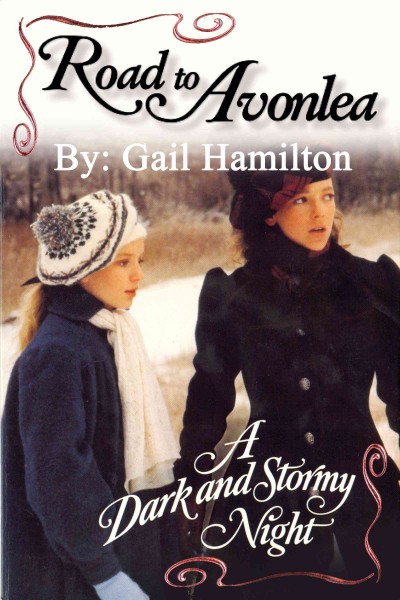 A dark and stormy night [electronic resource] / storybook written by Gail Hamilton.