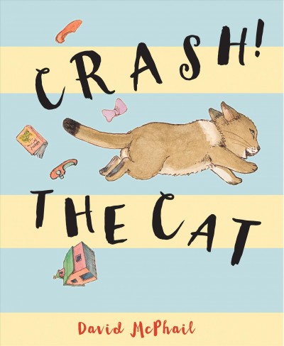 Crash! the cat / David McPhail - author, illustrator.