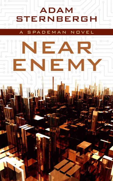 Near enemy [large print]/ large print{LP}