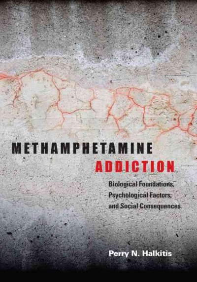 Methamphetamine addiction : biological foundations, psychological factors, and social consequences / Perry N. Halkitis ; with contributions by Antonio E. Urbina and Daniel J. Carragher.