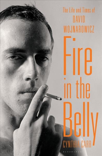 Fire in the belly : the life and times of David Wojnarowicz / Cynthia Carr.