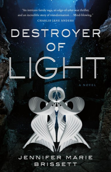 Destroyer of light / Jennifer Marie Brissett.