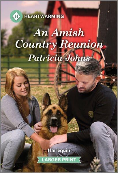 An Amish country reunion / Patricia Johns.