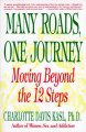 Go to record Many roads, one journey : moving beyond the twelve steps