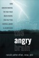 Healing the angry brain : how understanding the way your brain works can help you control anger & aggression  Cover Image