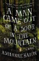 A man came out of a door in the mountain : a novel  Cover Image