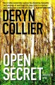 Open secret : a Bern Fortin novel  Cover Image