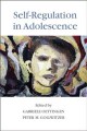 Self-regulation in adolescence  Cover Image